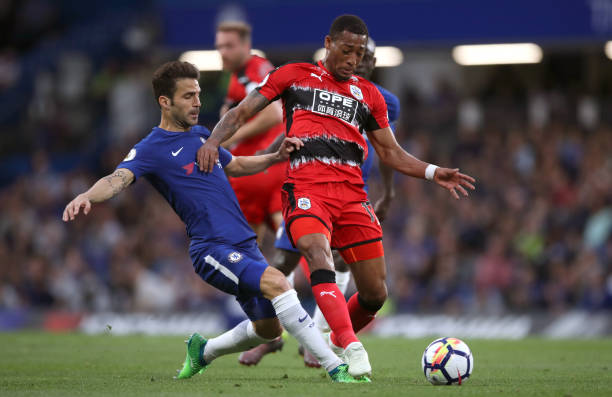 费尔南德斯 费尔南德斯